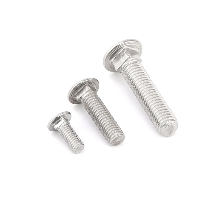 Stainless Steel Carriage Bolts